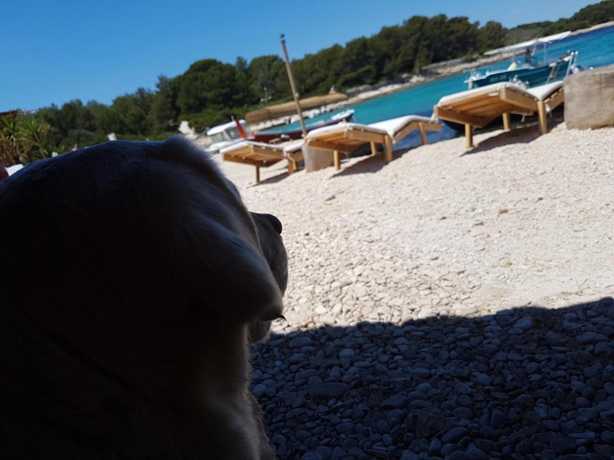 Casa vacanze Hvar-pakleni Islands- Isolated Robinson House Moj Mir Hvar Town